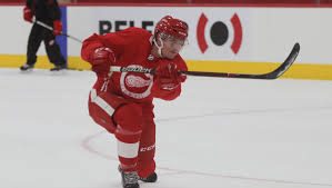 Career stats (appearances, goals, assists) and transfer history. Filip Zadina Stats