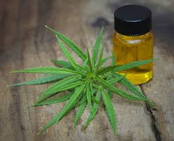 Maybe you would like to learn more about one of these? How To Make Extracts From Cannabis Dummies