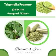 Image result for Trigonella