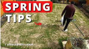 You can choose to water your lawn daily for 15 minutes or encourage hardier grass and root systems by committing to an infrequent watering schedule. Watering New Grass Seed Day 1 7 14 4 Week Time Lapse Youtube