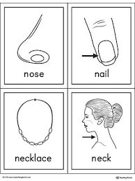 Letter N Words And Pictures Printable Cards Nose Nail Necklace Neck Letter N Words Printable Cards Letter N