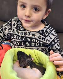 PuddleDucks Guinea Pig Rescue.