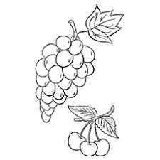 Some of the coloring page names are 19 grapes coloring in vector format easy to from any device and, grapes coloring, grapes coloring for kids color luna, grape simple fruits easy coloring for toddlers, thrives grapes plant coloring thrives grapes plant coloring color luna, flower vine coloring at colorings to and color, grapes coloring. Top 25 Free Printable Lovely Grapes Coloring Pages Online