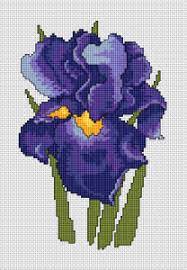 Free counted cross stitch patterns are easy to save and print out for use in creating lovely home decorations and gifts. Iris Flower Pattern Floral Cross Stitch Counted Cross Stitch Patterns Free Cross Stitch