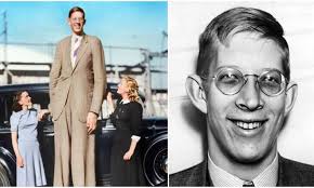 Robert Wadlow's Instagram, Twitter & Facebook