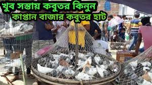 Search Youtube Channels Noxinfluencer