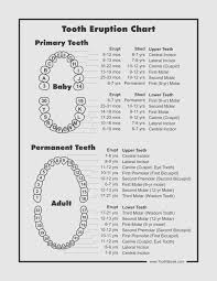 71 Correct Dental Tooth Numbering