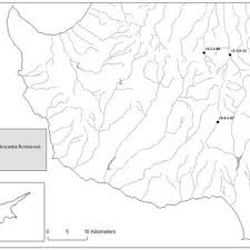 Image result for Polyspatha oligospatha