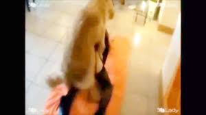 Mix 2016 Dog porn - ZootubeNet.com