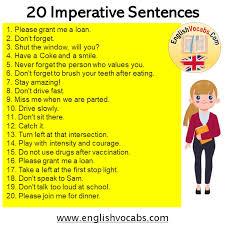 Several sentence structures fall within the general category of imperatives. 20 Imperative Sentences Examples Of Imperatives English Vocabs