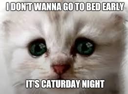 25 best memes about saturday night saturday night memes. Real Cat Lawyer Photos Facebook