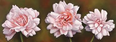 Palm Tree by Debra Lake