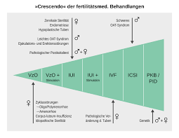 Intrauterine Insemination Iui Zyklusmathematik