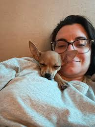 Is this a good dog food for my chihuahua? Thank you for your answer. ❤️