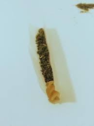 Si fa una canna in pieno centro, allontanato da tarquinia per tre anni. Il Miglior Filtro Per Le Canne Del Mondo Lo Dicono Gli Esperti
