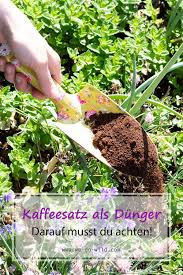 Kaffeesatz Als Dunger Fur Garten Und Topfpflanzen We Go Wild In 2020 Pflanzen Kaffeesatz Gartendunger