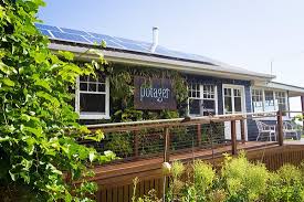 Gardening tips, indoor gardening, microgreens, plant based. Heaven Review Of Potager A Kitchen Garden Carool Australia Tripadvisor