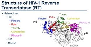 Image result for Non-Nucleoside Reverse Transcriptase Inhibitor