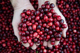 The Cure For Utis Its Not Cranberries The New York Times