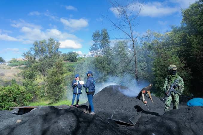 La CAR y la Fuerza Pública frenan más de 60 focos de delitos ambientales en Cundinamarca  ante la sequía - Labranza Informativa