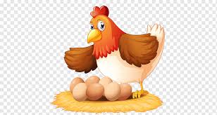 Sebelum ayam jago anda memasuki tahap perawatan khusus untuk sebagai ayam laga. Perawatan Telur Ayam Hewan Kartun Hewan Yang Dilukis Dengan Tangan Unggas Png Pngwing