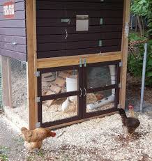 double doors to chicken run chicken coop plans chickens backyard chicken runs