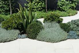 33 Lovely Australian Landscaping Ideas Modern House Landscaping Landscapedesign Landscapingideas Landscape Design Drought Tolerant Garden City Garden