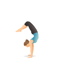 Yoga Pose Scorpion Handstand Yoga Illustration Yoga Poses Yoga