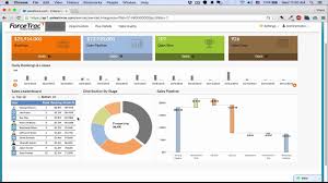Forcetrac Microstrategy Analytics For Salesforce W D3 Charts