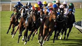 Video Horse Racing — Lake Appeil
