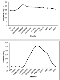 Image result for Crepidorhopalon tenuis
