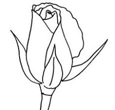 1001 Modeles Et Conseils Pour Apprendre Comment Dessiner Une Rose Dessin Rose Fleur Dessin Facile Comment Dessiner Une Rose