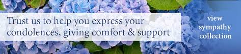 We did not find results for: Miss Daisy S Flowers Gifts Fresh Flowers In Leesburg Fl Same Day Flower Gift Delivery