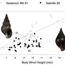 While a residential cleaner is more of a housekeeping role by providing standard cleaning services and also. Pdf The Mollusk Fauna Of Santa Catarina State Sc Central Southern Brazil A Final General Balance After Two Decades Of Research With Special Emphasis On The Freshwater Species