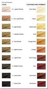 Ash hair color usually ranges from light brown to light ash blonde that almost looks like a white shade with a grayish tint. How To Go From Bleached Blonde To Light Brown Hair Quora