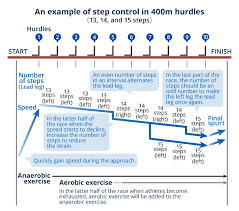 Covering the distance between hurdles 13 powerful steps at a time, warholm never came close to breaking stride. No 2 The 400m Hurdles A Demanding Track And Field Event That Requires Physical Strength And Skill World Athletics Tdk Tdk Techno Magazine
