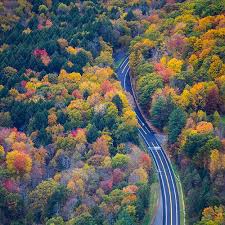 Image result for Autumn Haze 1960 Chrysler