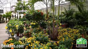 We demand excellence in home gardening. Cincinnati Florist Flower Delivery By Benken Florist Home And Garden