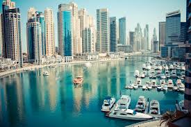 Картинки по запросу dubay