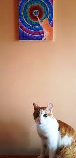 În întreaga lume există aproximativ 60 de rase de. Deco Punct 8 August Ziua Internationala A Pisicilor Facebook