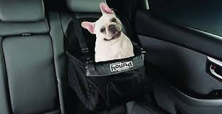 Outward Hound Pet Gear Dog Car Seat Booster Kyjen Black New Dog Travel Carrier Outward Hound Pet Gear Pet Booster Seat