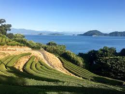 Nakajima Island: The Neverland – L'isola di Camilla