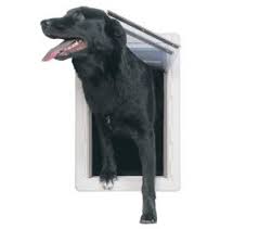 High tech electronic dog door. Best Electronic Dog Door Detailed Reviews And Purchase Guide Dogsrecommend
