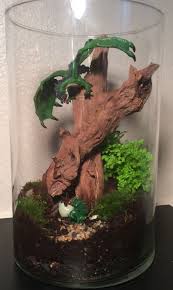 Dragon Terrarium Miniature I Used Dungeons And Dragons Figures For This Terrarium Dungeons And Dragons Figures Terrarium Dungeons And Dragons