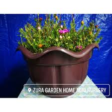 Membela ikan guppy dalam pasu bunga besar dan tidak berlubang sangat cantik untuk hiasan di rumah! Hot Sales Big Flower Pot 33cm Pasu Bunga Besar Kerawang