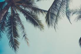 At supreme smiles of sarasota, you are our priority! Dentist Sarasota Fl Supreme Smiles Of Sarasota Dr Korattiyil