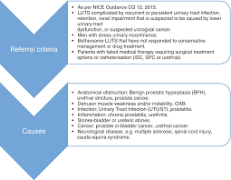 Prostate cancer is the most common cancer in men and makes up 26% of all male cancer diagnoses in the uk. Lower Urinary Tract Symptoms Springerlink