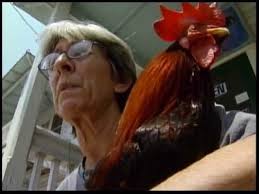 Key West After 2005 Hurricanes