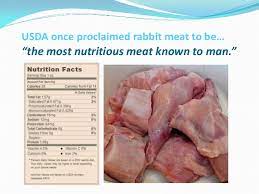 Eat A Bunny Rabbit Facts 1