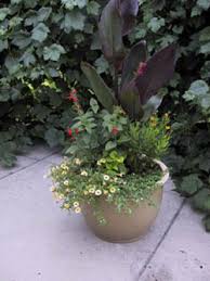 When purchasing your flower pots and planter boxes, durability is important. Container Gardens 7 238 Extension